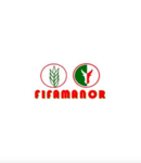 Logo_FIFAMANOR