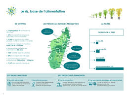 45 - Key data on agriculture in Madagascar in 9 illustrations!